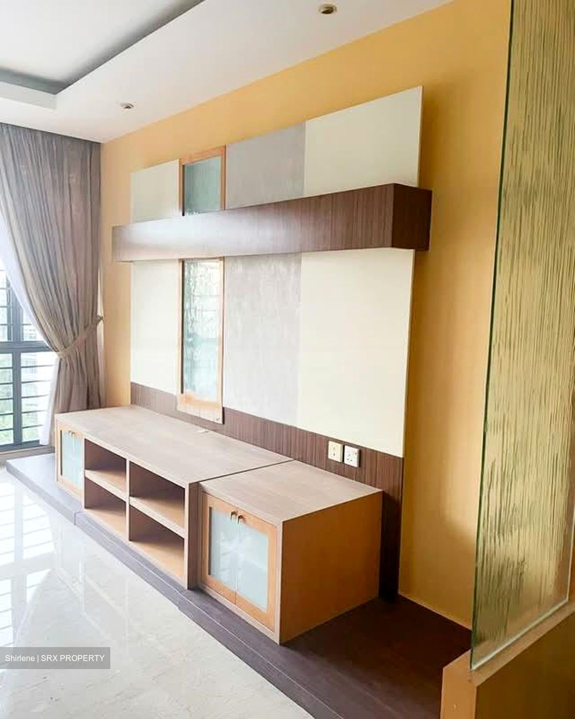 Carissa Park Condominium (D17), Condominium #588828791